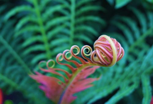 Wonder Workshops at Eden